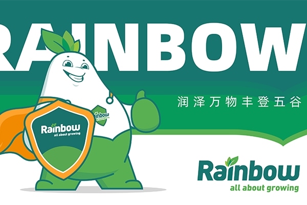 如何更好的构筑我的智·爱品牌？
