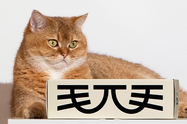 宠物包装设计公司    |   宠物零食包装设计公司